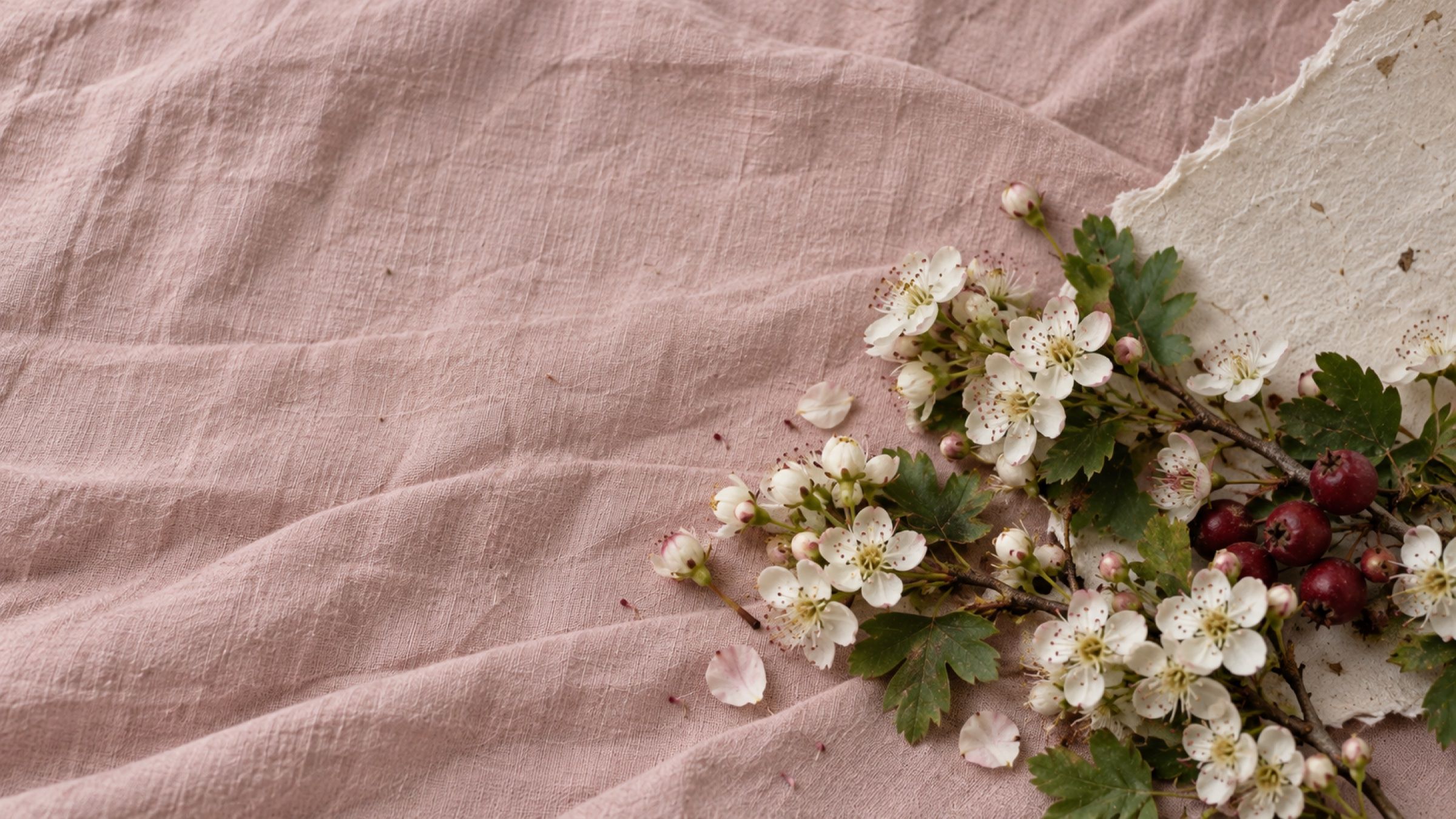 White hawthorn blossom on dusky pink linen